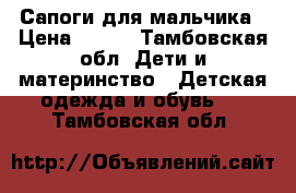 Сапоги для мальчика › Цена ­ 600 - Тамбовская обл. Дети и материнство » Детская одежда и обувь   . Тамбовская обл.